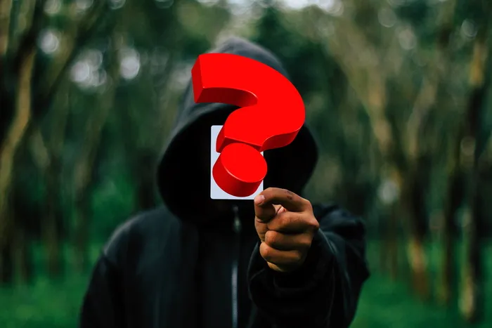 个人，穿着，黑色，拉链连帽衫，黑客，攻击，面具，互联网