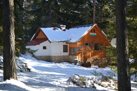山, 雪, 冬天, 景观, 雪山, 冰, 旅行, 高山