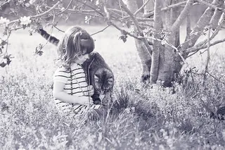 冬天，树，最好的朋友