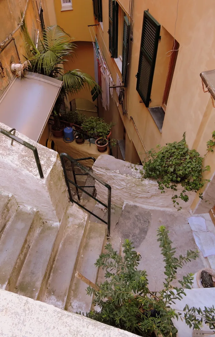 楼梯，紧，小巷，房子，绿色，植物，窗户，vernazza