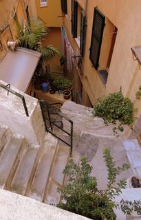 楼梯，紧，小巷，房子，绿色，植物，窗户，vernazza