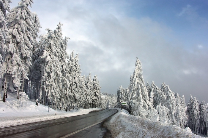 人行道，雪树，冬天，雪，冬天，寒冷，白色，蓝色