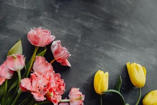 灰色背景上的彩色花朵，带有复制空间