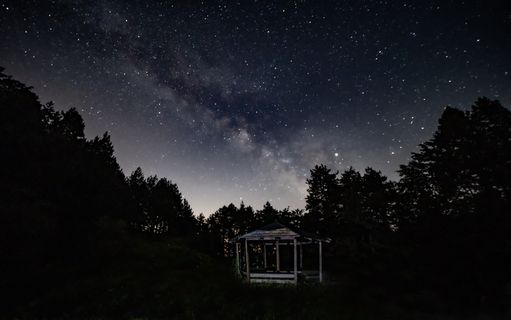 树木环绕的白色露台