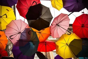 彩色雨伞屋顶低角度照片