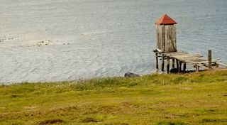 阿根廷、乌斯怀亚、巴塔哥尼亚、海、冷、水、草、土地