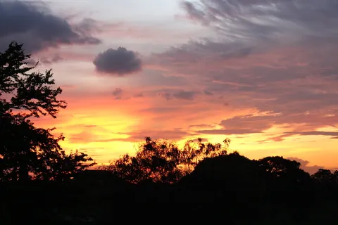 日落,泰国,太阳,天空,云-天空,剪影,树,植物 日落,泰国,太阳,天空,云-天空,剪影,树,植物