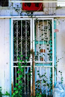 白色金属法式安全门 白色金属法式安全门