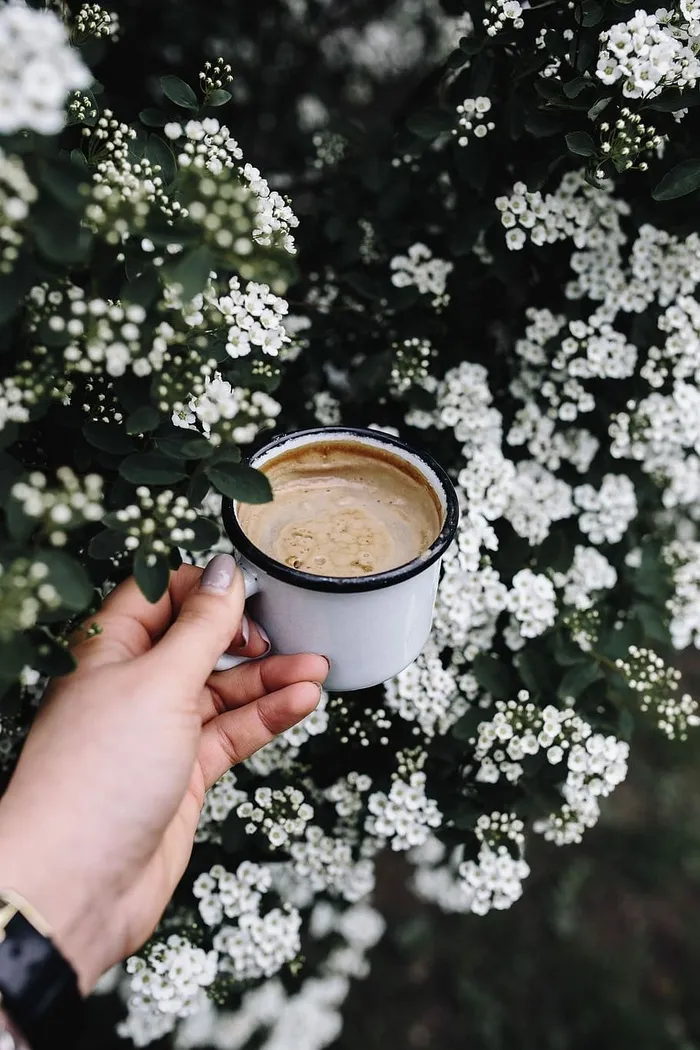 早上在花园里喝咖啡