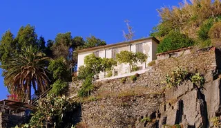 房子，岩石，绿色，树，天空，绿色，树，棕榈树，建筑