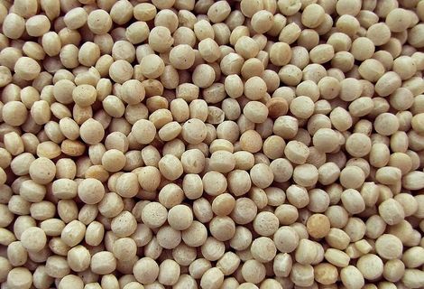 植物，食品，豆类，蔬菜，大豆，农产品，扁豆，谷物