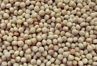 植物，食品，豆类，蔬菜，大豆，农产品，扁豆，谷物