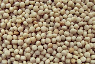 植物，食品，豆类，蔬菜，大豆，农产品，扁豆，谷物