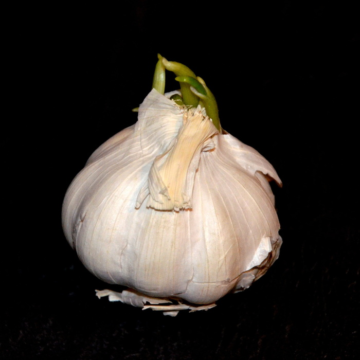 蔬菜，大蒜，大蒜丁香，摄影棚快照，食品和饮料，食品，蔬菜，黑色背景