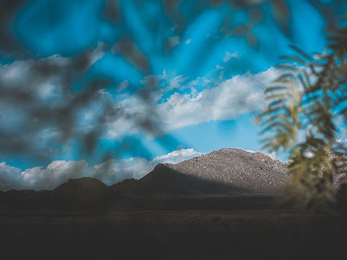 绿叶和远处的群山