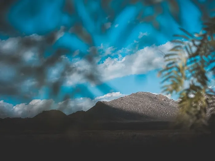 绿叶和远处的群山