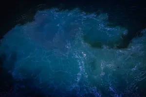 荷兰，鹿特丹，鹿特丹港nv，大海，波浪，纹理，自然，全框架