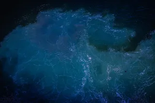 荷兰，鹿特丹，鹿特丹港nv，大海，波浪，纹理，自然，全框架