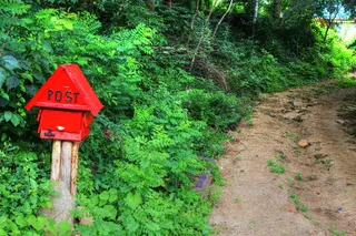 乡村、吉尔、邮箱、风景、自然、木材、景观、植物