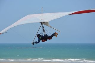 三角洲飞机，飞行，休闲运动，强烈的感觉，飞机，法国，诺曼底，飞行