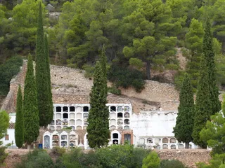 墓地、柏树、壁龛、超越、符号、植物、树木、建筑