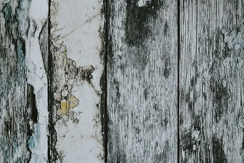 现代厨房内部 现代厨房内部