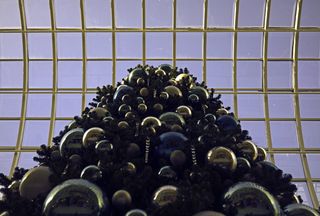 圣诞树、圣诞节、埃德蒙顿、购物、窗户、庆祝、生活方式、购物中心