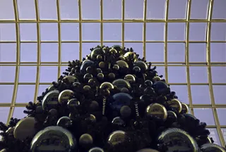 圣诞树、圣诞节、埃德蒙顿、购物、窗户、庆祝、生活方式、购物中心