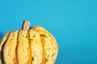 饺子、南瓜、葫芦、食品、食品和饮料、健康饮食、彩色背景、新鲜度