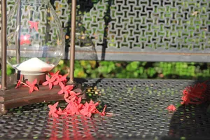花，钟，沙漏，年龄，时间，植物，花，天
