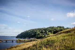 自然，河流，桥梁，森林，天空，天气，夏天，假期