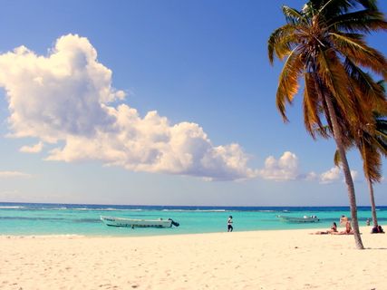 棕榈, 海滩, 多米尼克, 海, 天空, 土地, 水, 地平线