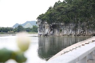 风景, 漓江, 象鼻山, 水, 植物, 树, 自然之美, 天空