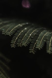 双复合厂房特写图