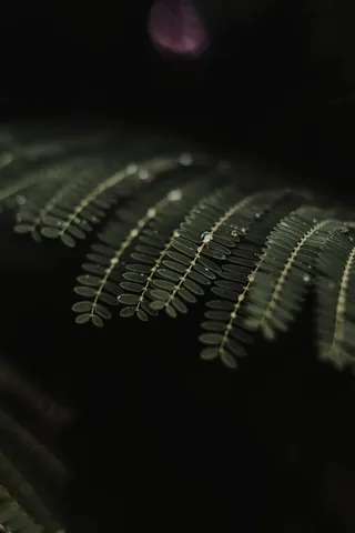 双复合厂房特写图