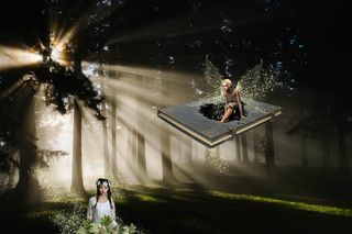 幻想、森林、光、费、卖花女、气氛、浪漫、照片