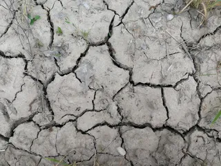 拉脱维亚，利尔普拉通，裂纹，全框架，干旱气候，干旱，背景，气候