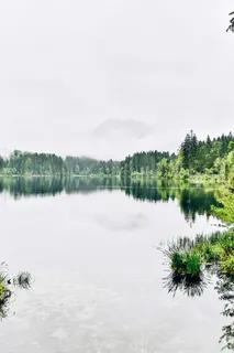 身体、水、树、白天、巴伐利亚州、贝希特斯加登、山脉、山地景观