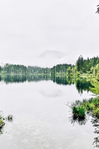 身体、水、树、白天、巴伐利亚州、贝希特斯加登、山脉、山地景观