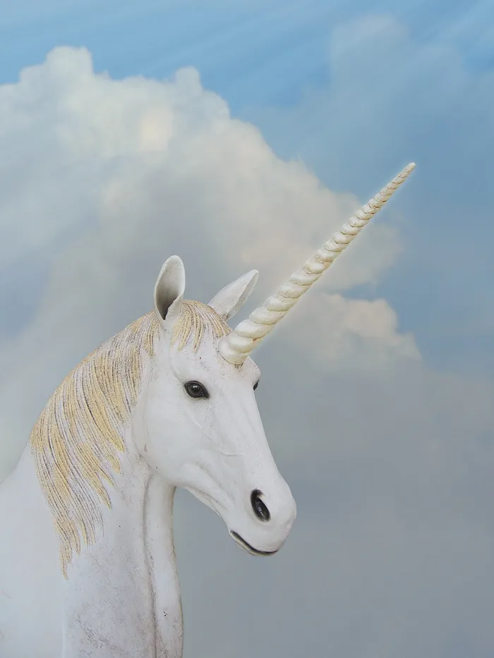 白独角兽，独角兽，动物魔法，幻想，角，动物，动物主题，天空