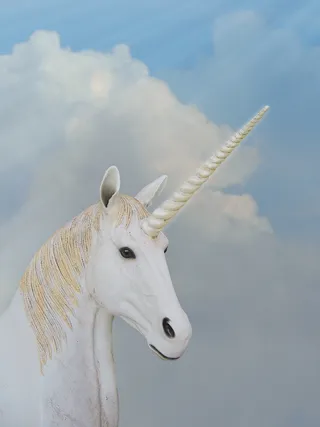 白独角兽，独角兽，动物魔法，幻想，角，动物，动物主题，天空