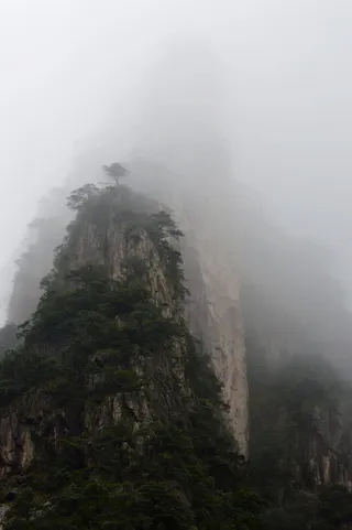 黄山，冬天，姓，雾，姓雾，山，雾路，景观