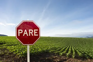 绿色草地附近的标牌