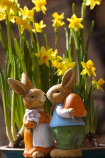 兔子雕像，黄色，花瓣花朵，复活节兔子，风俗，习俗，奥斯特哈森