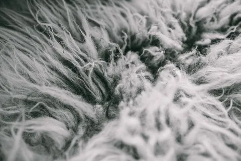 斯堪的纳维亚枕头