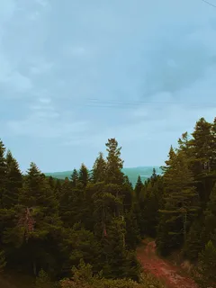 土耳其,伊尔加兹山国家公园,山,绿色,橙色,树木,天空,松树 土耳其,伊尔加兹山国家公园,山,绿色,橙色,树木,天空,松树