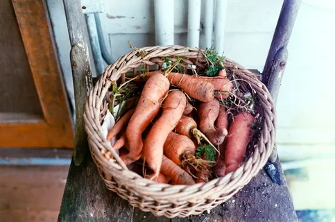 美国，斯诺霍米什，胡萝卜，第一批，收获，篮子，春季，35毫米