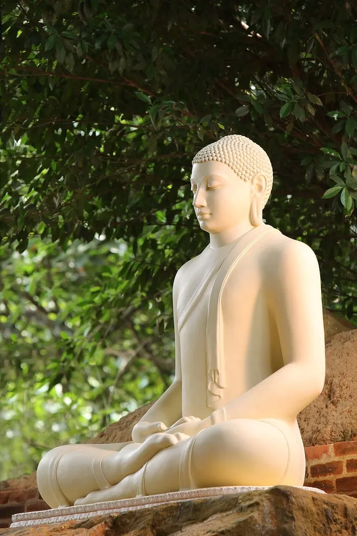 特写照片白色佛像