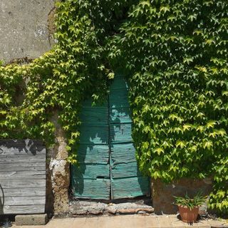 意大利，serano，grosseto，乡村，谷仓，绿松石，绵羊，绵羊牧场