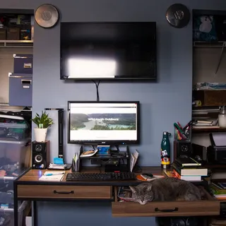 猫,猫,桌子,工作,工作区,电脑,工作,忙碌 猫,猫,桌子,工作,工作区,电脑,工作,忙碌
